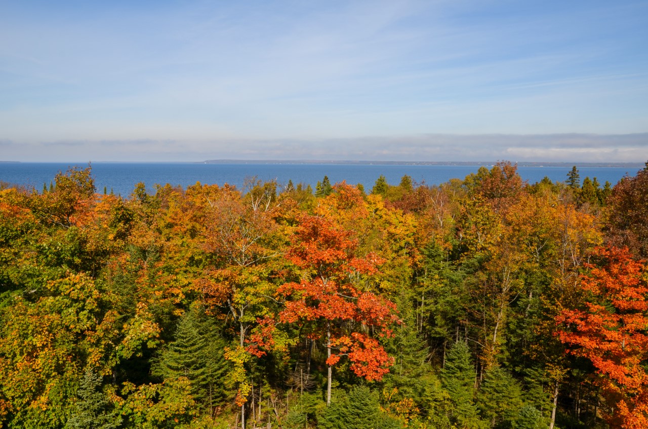 Michigan-fall-colors