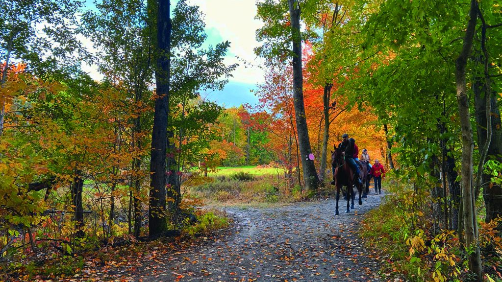 Fall horseback ride at Rise and Ride Ranch, Allegan (RISE AND RIDE RANCH)