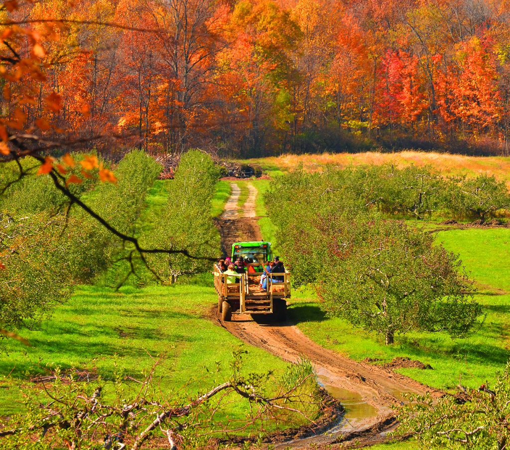 Hayride in autumn (ID 30998574 © KJRSTUDIO | DREAMSTIME.COM)