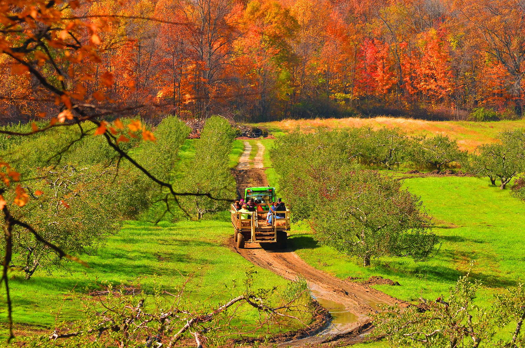 Hayride in autumn (ID 30998574 © KJRSTUDIO | DREAMSTIME.COM)