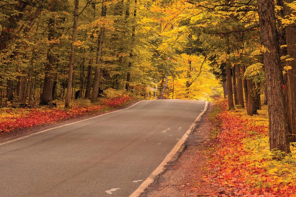 WKND tunnel of trees fall colors autumn (ID 3086284 © SNEHITDESIGN | DREAMSTIME.COM)
