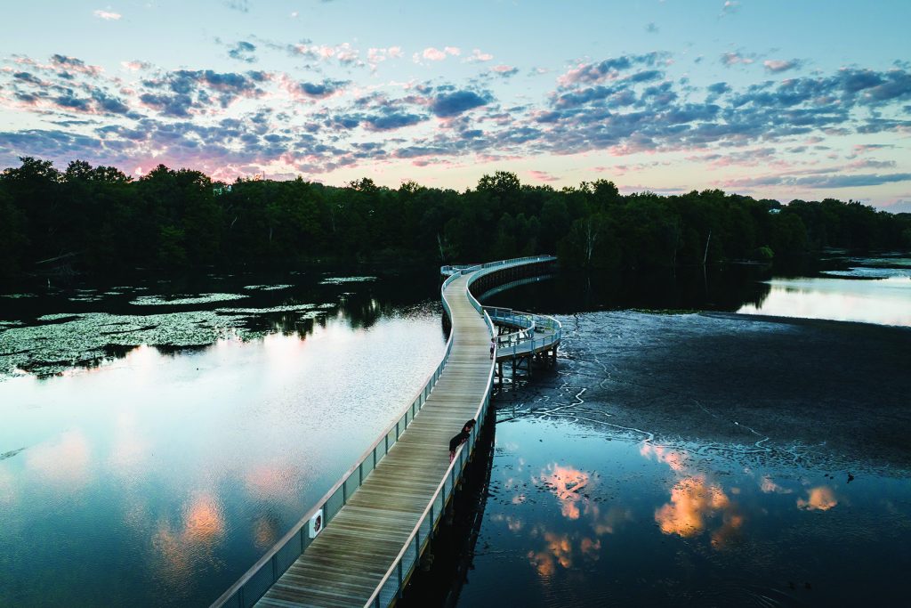 Boardman Lake Loop - TART Trails (COURTESY TART TRAILS / PREIN&NEWHOF)