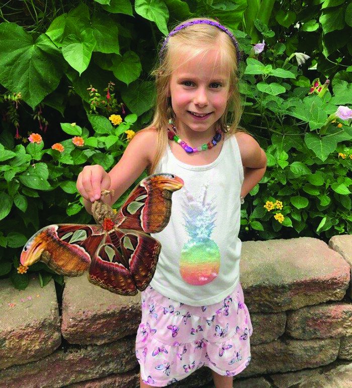 GRAND TRAVERSE BUTTERFLY HOUSE & BUG ZOO